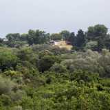 Il panorama � selvaggio, nonostante le poche eleganti ville abbarbicate sulle pareti dalla lama e a dominare sono i lecci, le roverelle, i fragni, le sughere e le piante di edera che avvolgono il �canyon�